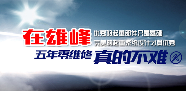 雄峰起重机厂家优势